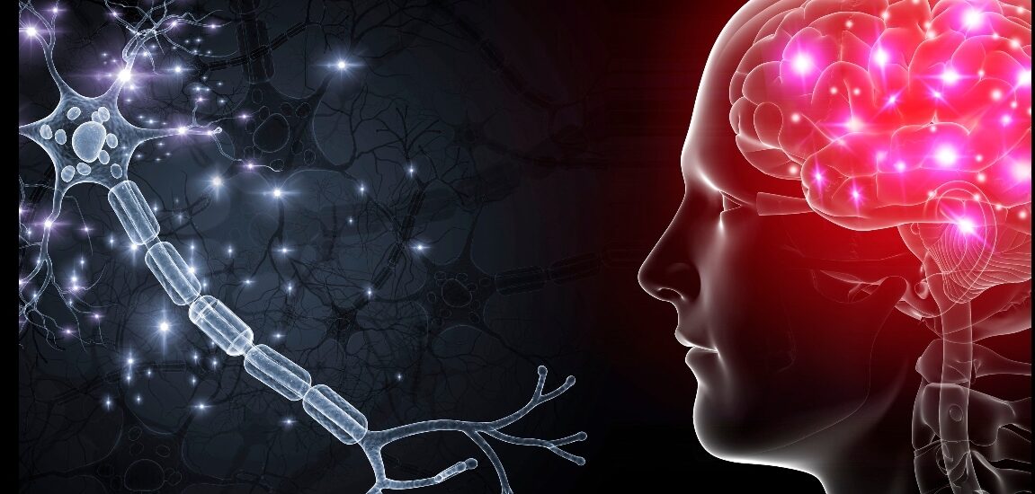 ΝΕΥΡΟΠΛΑΣΤΙΚΟΤΗΤΑ